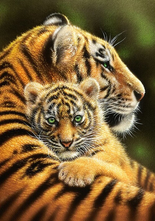 Tiger & Cub Hugging Paint by Diamonds