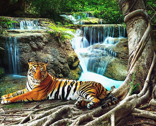 Tiger Resting by Waterfall Diamond Painting Kit