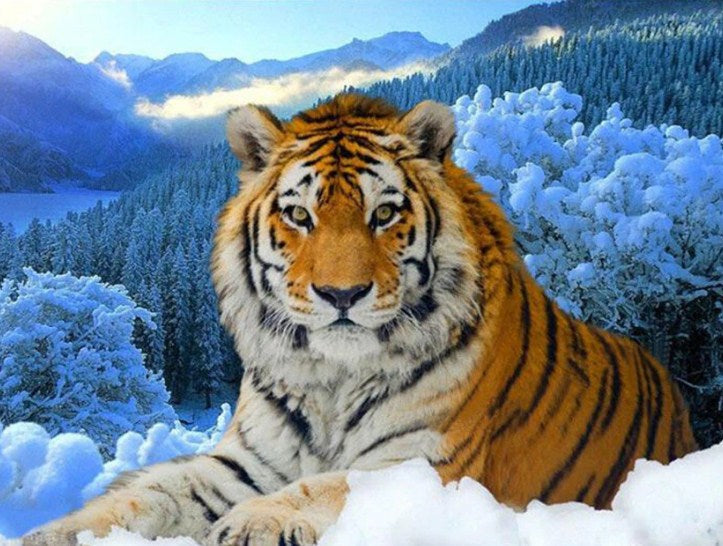 Tiger Full Drill Painting Kit