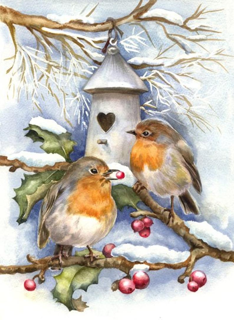 Christmas Birds Paint by Diamonds