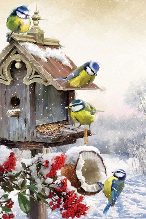 Winter birds & Their Little House Diamond Painting