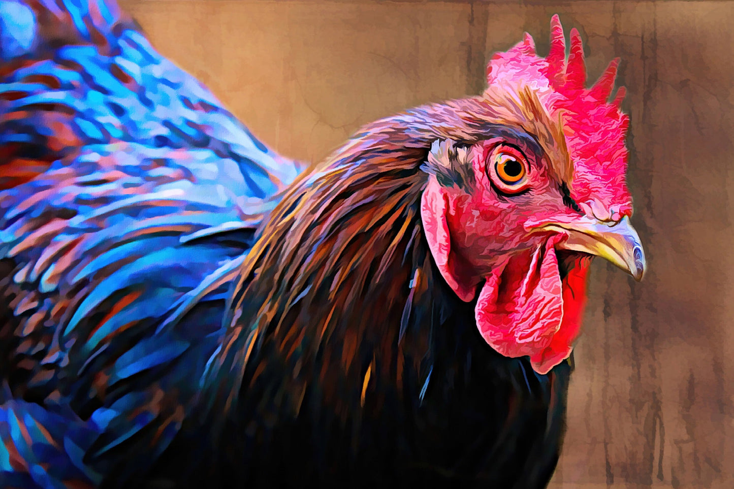 Australorp Kip - Kunst door Denise Dundon