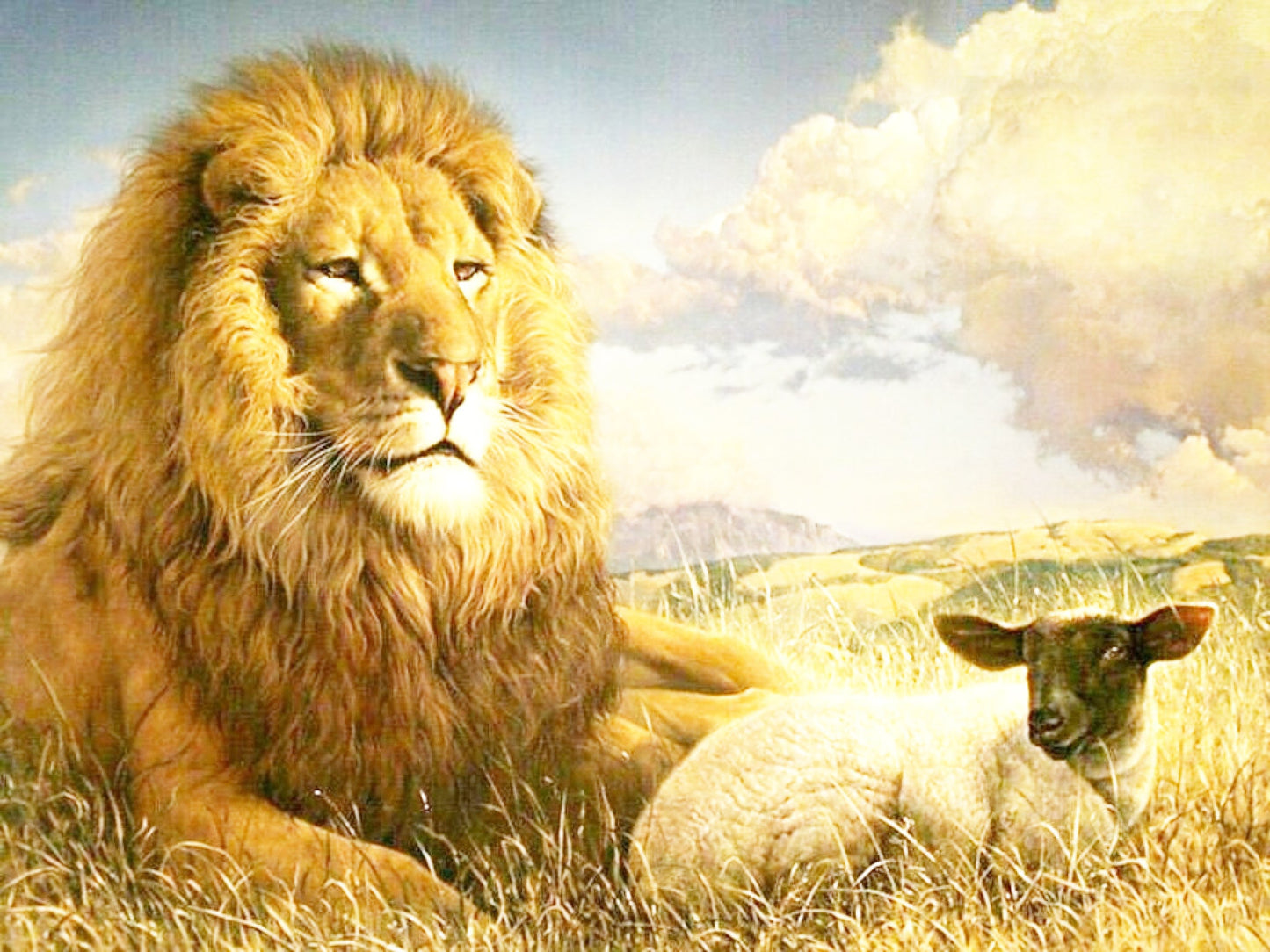 Lion & Lamb Diamond Painting