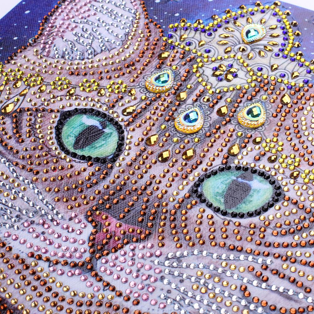 DIY 5D Diamond Art Kits Volwassenen Kat Diamant Schilderij Kit, Bloem Diamant Art Schilderen voor Volwassenen Ambachten, Vierkant Volledige Boor Diamant Stippen Kristal Art Schilderen voor Wandkamer DIY 5D Diamond Art Kits Volwassenen Kat Diamant Schilderij Kit, Bloem Diamant Art Schilderen voor Volwassenen Ambachten, Vierkant Volledige Boor Diamant Stippen Kristal Art Schilderen voor Wandkamer