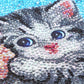 Kat op het strand - speciaal diamond painting