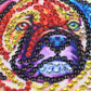 moedig huisdier Hond - diamond painting