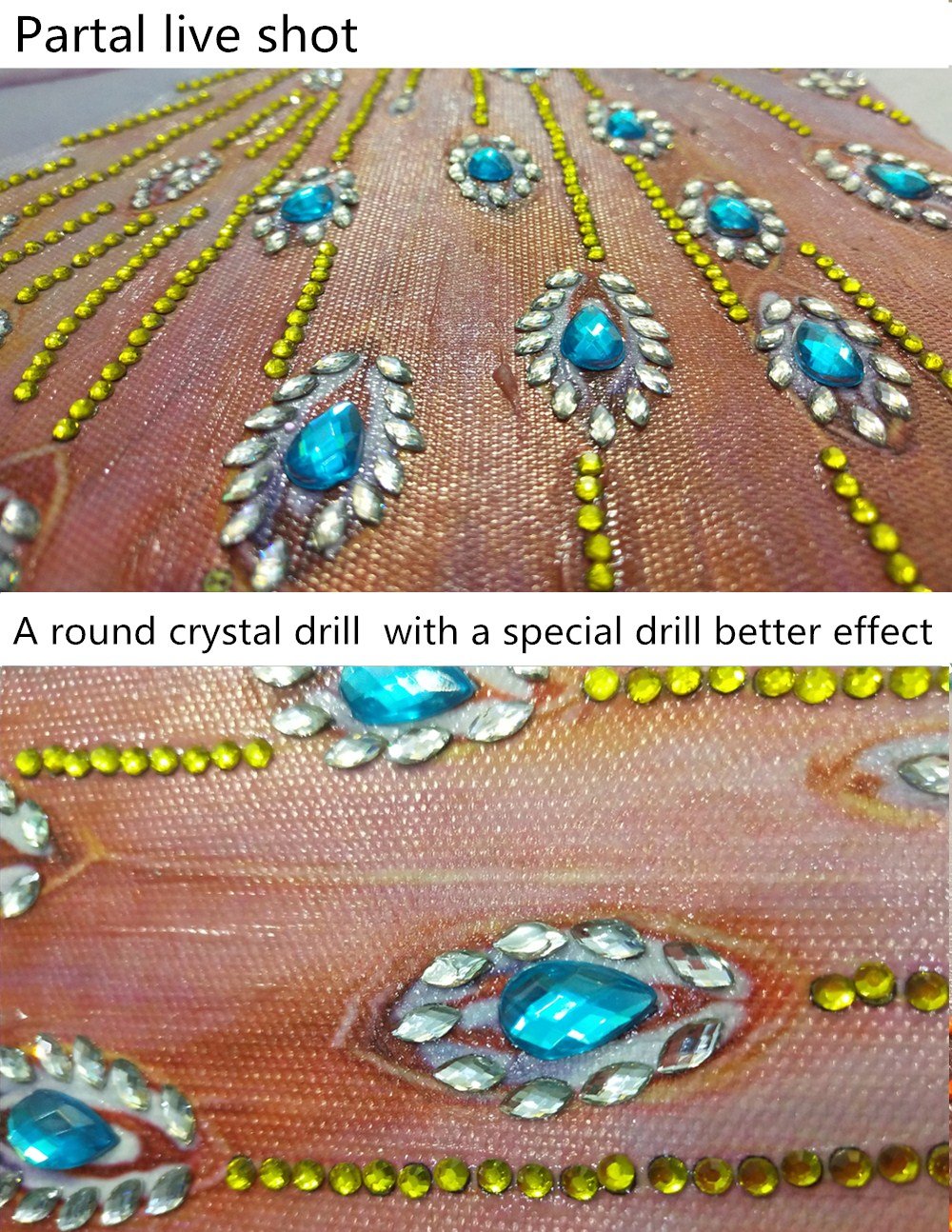Opvallende pauw - speciaal diamond painting