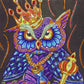 koning uil - speciaal diamond painting